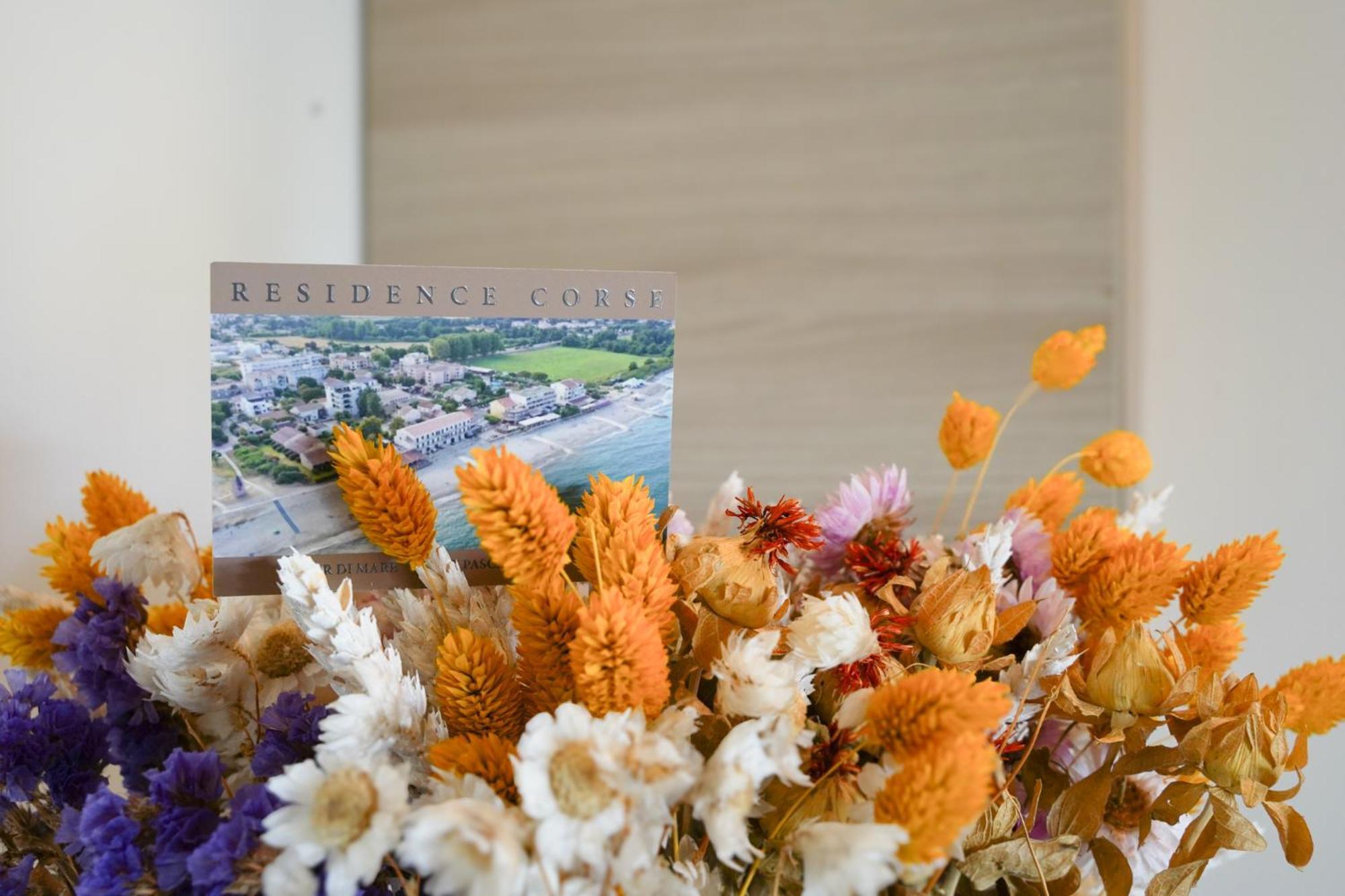 Residence Pascal Paoli Fior Di Mare Moriani Plage Εξωτερικό φωτογραφία