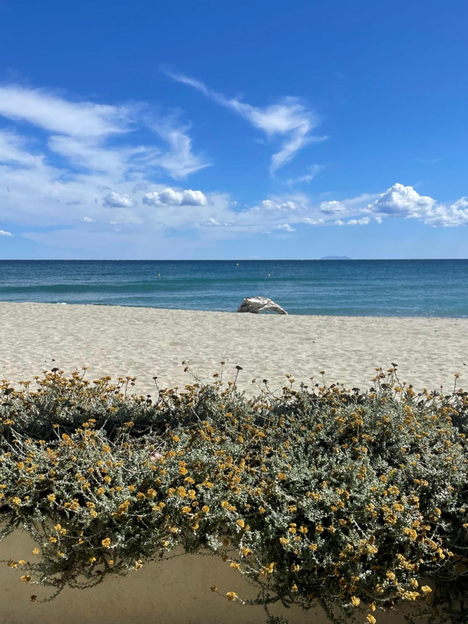 Residence Pascal Paoli Fior Di Mare Moriani Plage Εξωτερικό φωτογραφία